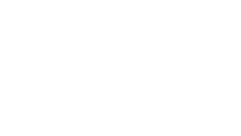 logo light